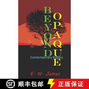Beyond 4周达 Opaque Contemporary 9780473722432 Poems