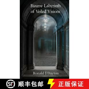 Bizarre Labyrinth Visions 4周达 Veiled 9780244207137