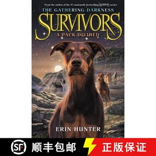 Pack 9780062343352 Survivors Darkness Gathering 4周达 The Divided