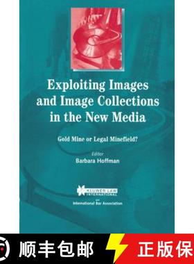 预订 Exploiting Images and Image Collections in the New Media : Gold Mine or Legal Minefield? [9789041197214]