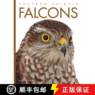 Falcons 4周达 9781640265639