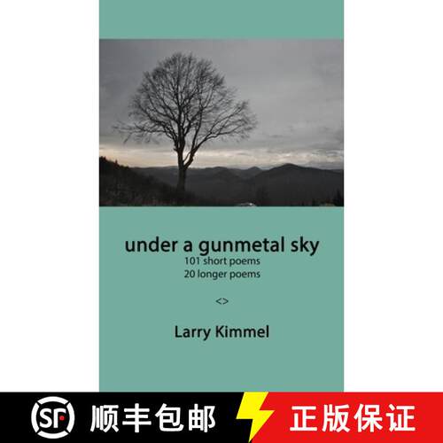【3-4周达】under a gunmetal sky: 101 short poems 20 longer poems [9798989249145]