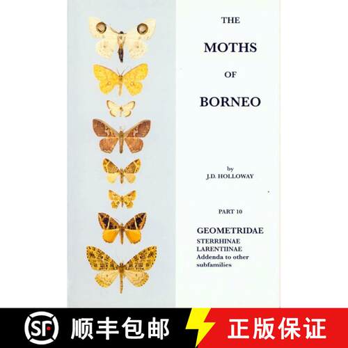 【3-4周达】The Moths of Borneo, Part 10 [9789839991543]