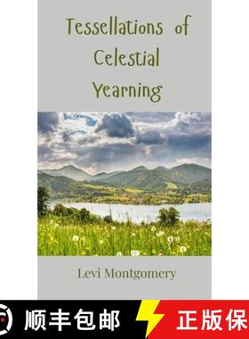 预订 Tessellations of Celestial Yearning [9783690801812]