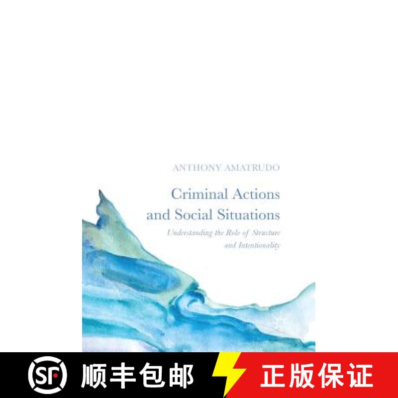 【3-4周达】Criminal Actions and Social Situations : Understanding the Role of Structure and Intention... [9781137457301]