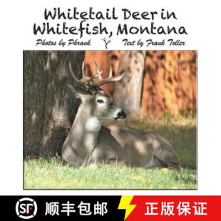 Whitetail Deer Montana 3周达 Whitefish 9789694592909
