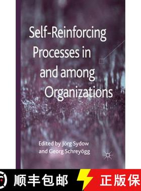 【3-4周达】Self-Reinforcing Processes in and Among Organizations [9781349352074]