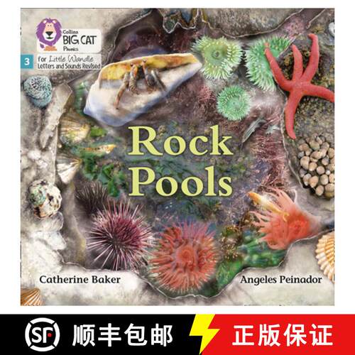 【3-4周达】Big Cat Phonics for Little Wandle Letters and Sounds Revised - Rock Pools: Phase 3 [9780008504151]