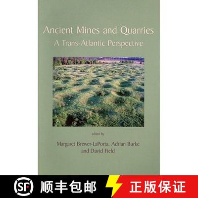 【3-4周达】Ancient Mines and Quarries: A Trans-Atlantic Perspective [9781842174012]