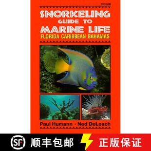 【3-4周达】Snorkeling Guide to Marine Life: Florida, Caribbean, Bahamas [9781878348104]