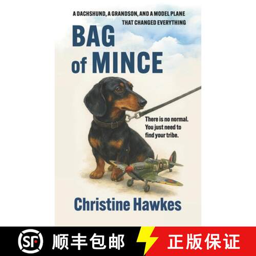 【3-4周达】BAG OF MINCE: There is no normal. You just need to  find your tribe. [9781036928735]