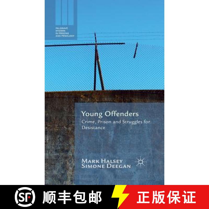 【3-4周达】Young Offenders : Crime, Prison and Struggles for Desistance [9781349489213]
