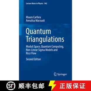 Triangulations Computing Quantum and 9783319679365 Models Moduli 4周达 Linear Non Space Ricci... SIGMA