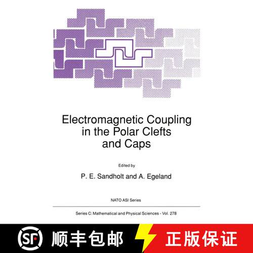 【3-4周达】Electromagnetic Coupling in the Polar Clefts and Caps [9789401069298]