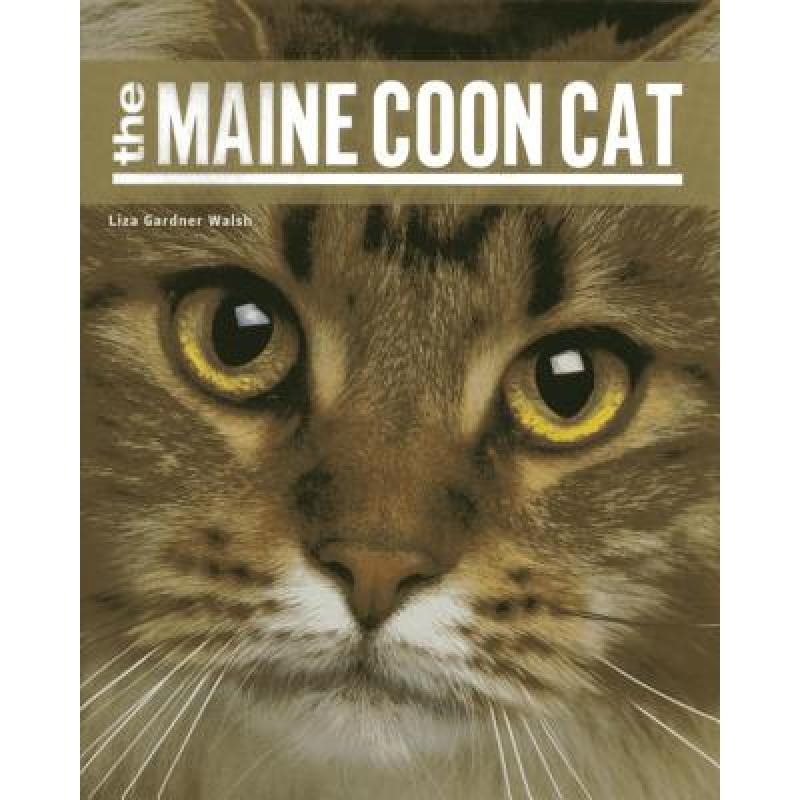 【4周达】The Maine Coon Cat[9781608932504]