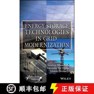Energy Storage Modernization 9781119872115 Grid 4周达 Technologies
