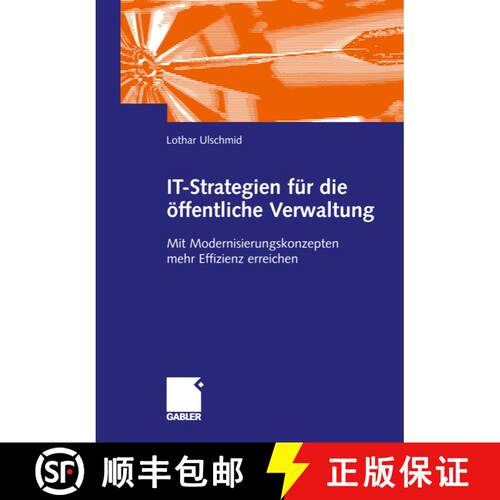 【3-4周达】IT-Strategien für die öffentliche Verwaltung : Mit Modernisierungskonzepten mehr Effizie... [9783409124980]