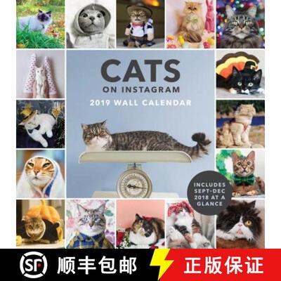 现货 2019 Wall Calendar: Cats on Instagram [9781452169484]