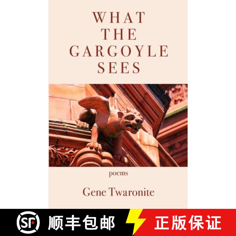预订 What the Gargoyle Sees [9781952326868]