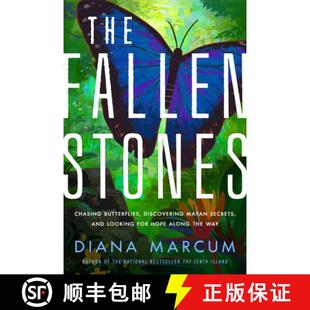 Chasing for Butterflies Stones The Hope Looking Discovering Al... Secrets Fallen and 3周达 9781542022835 Mayan