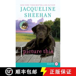 【3-4周达】Picture This: A Novel LP [9780062107121]