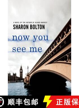 【3-4周达】Now You See Me: A Lacey Flint Novel [9781250001634]