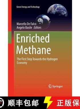 【3-4周达】Enriched Methane : The First Step Towards the Hydrogen Economy [9783319360027]