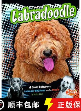 预订 Labradoodle: A Cross Between a Labrador Retriever and a Poodle [9781429676663]