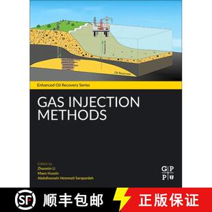 Foam Flooding Methods 9780128223024 Injection 4周达 Gas and