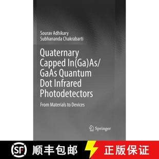 9789811353604 4周达 Photodetectors Capped Dot Devices GAAS Materials Quaternary Quantum From Infrared