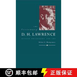 Lawrence Beyond Art The and 4周达 9780521452137 Visionary Philosophy
