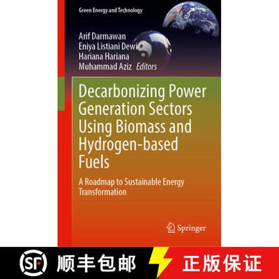 【3-4周达】Decarbonizing Power Generation Sectors Using Biomass and Hydrogen-Based Fuels: A Roadmap t... [9789819793594]