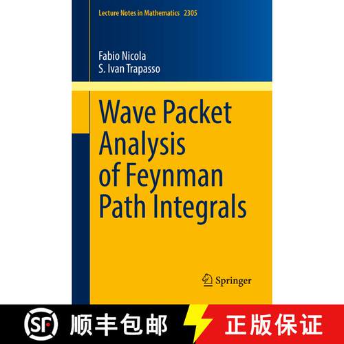 【3-4周达】Wave Packet Analysis of Feynman Path Integrals (1st ed. 2022) [9783031061851]