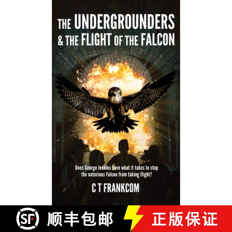 【2-3周达】The Undergrounders & the Flight of the Falcon [9781916226821]
