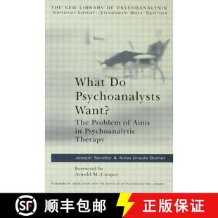 Therapy What 4周达 The Want? 9780415135153 Psychoanalytic Aims Psychoanalysts Problem