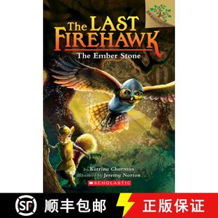 Last Ember Book The Firehawk 9781338122138 Volume Stone Branches the