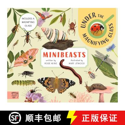 【3-4周达】Minibeasts: Under the Magnifying Glass: Under the Magnifying Glass [9781915569530]