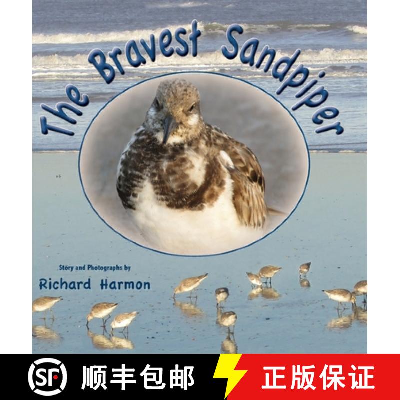 【3-4周达】The Bravest Sandpiper [9781737258117]