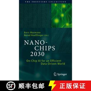 Data 4周达 2030 Chips Chip Efficient Driven Nano for 9783030183400 World
