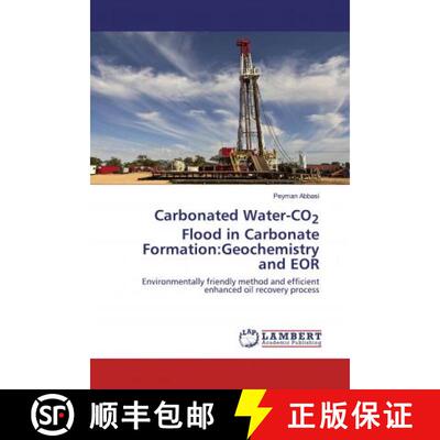 预订 Carbonated Water-CO2 Flood in Carbonate Formation:Geochemistry and EOR [9786202521758]