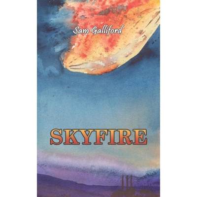 【4周达】Skyfire [9781528913959]