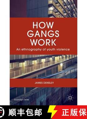【3-4周达】How Gangs Work: An Ethnography of Youth Violence [9781137572936]