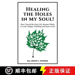 9780982628386 the Ful... Holes Lead Own Happy Became Soul How Life Healing 4周达 Whole Saved