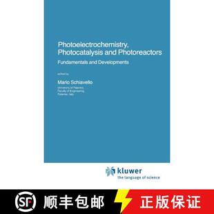 Photoelectrochemistry Photocatalysis Developments 9789048184149 Fundamentals 4周达 Photoreactors and