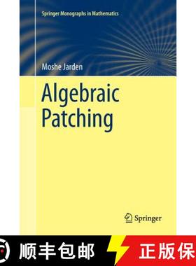 【3-4周达】Algebraic Patching [9783642266515]