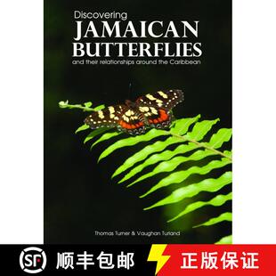 Their Butterflies Relationships Caribbean Discovering the 4周达 9780692877067 Jamaican Around and