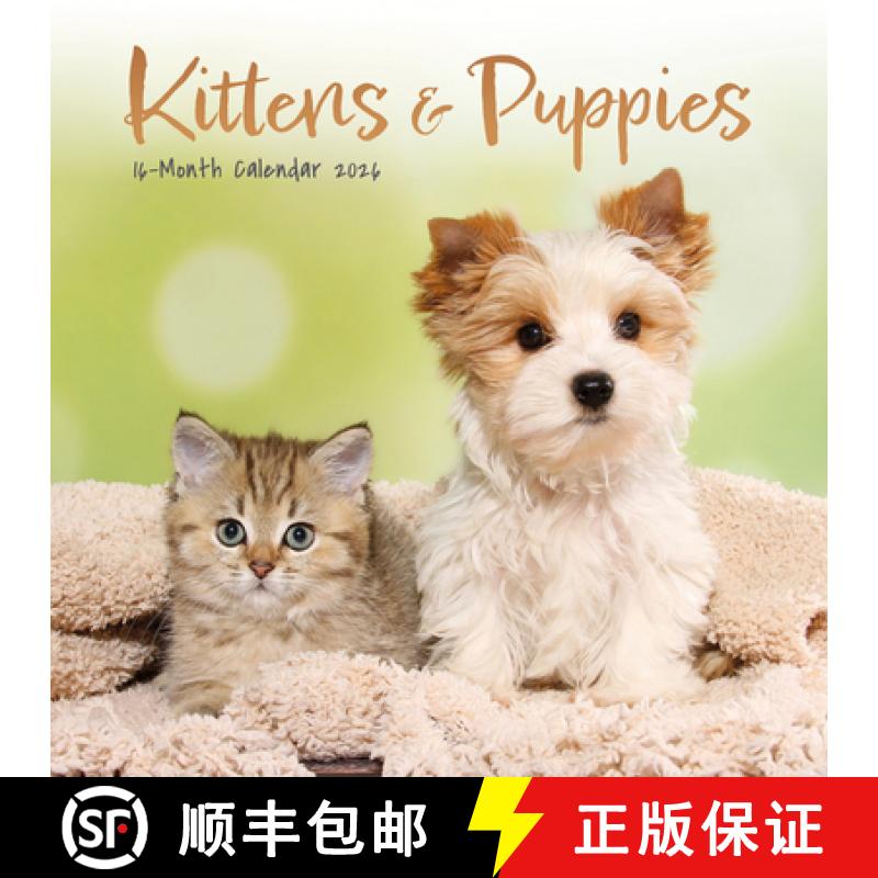 【3-4周达】Kittens Puppies Square Mini Sunday Start [9781529897319]