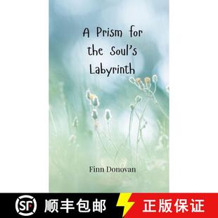 the 9783690807203 4周达 Labyrinth Soul for Prism