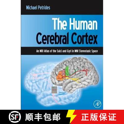 【3-4周达】The Human Cerebral Cortex : An MRI Atlas of the Sulci and Gyri in MNI Stereotaxic Space [9780123869388]