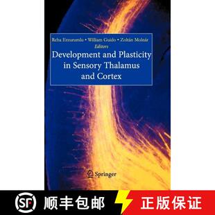 9780387317984 4周达 Cortex Thalamus Sensory Plasticity and Development